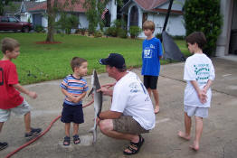 Comparing the shark to his son