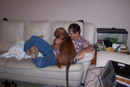 She really wants to be a lap dog