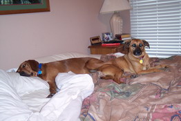 Dee Dee has made herself quite at home!