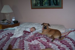 Boudreaux and Grendel stayed with Emily through her whole nap