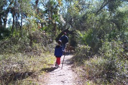 Patch loves his walking stick