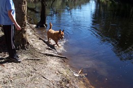 oooooh water - let me at it!