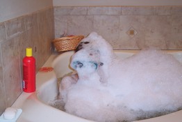Help!  The bubbles ate my son!