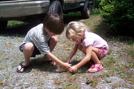 Patch and Julia trying to recapture the spider