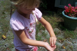 Julia being very brave with the spider