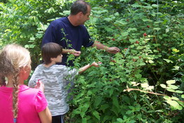 Patch and Mike picking the juciest raspberries