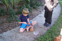 Hammering some holes for the milk