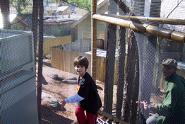 Climbing the net