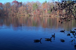 Pretty scenery at the campground