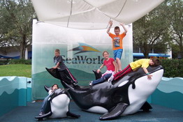 Patch wanted to give Shamu a hug
