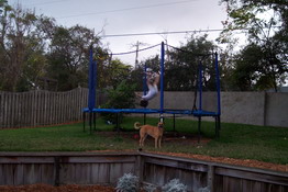 A slippery flip