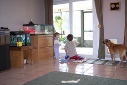 Emily wondered what Patrick was doing to the windows