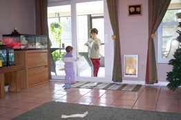 Emily helped Patrick clean the windows