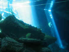 Sunrays in the water