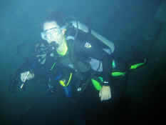 Serious diver . . .