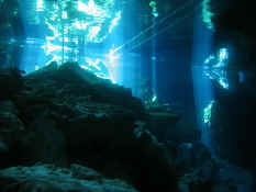 Another cool shot