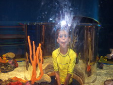 I told you he was a fish!