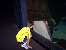 Patch got up close and personal with a stingray's belly 
