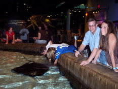 Thomas and Alex petting the stingrays