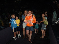 Going through the tunnel of sharks