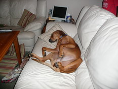 I think she's feeling pretty secure here now. . LOL