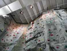 Alex made it to the top