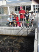 Our group feeding a BUNCH of turtles!