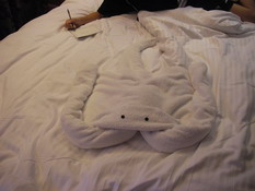 It's hard to see because of the white on white, but this is a stingray.