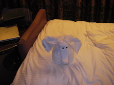 A very cute elephant