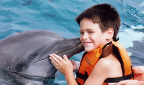 Patch getting a dolphin kiss