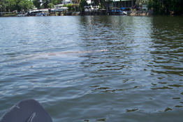 I crazily took my camera out in the kayak to get this shot