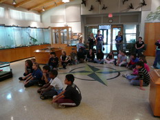 Learning about the animals in the museum