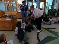 Alex petting Wally, the baby alligator