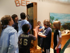 Looking for the queen bee in the hive