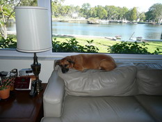Grendel has made herself quite at home
