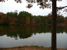 Our beautiful view