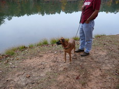 Grendel LOVES being outdoors all the time