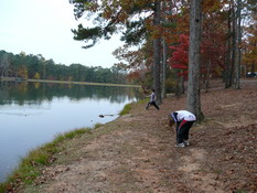 Skipping rocks