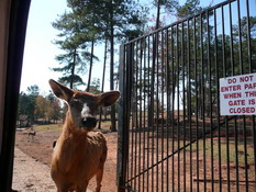 Our welcoming committee