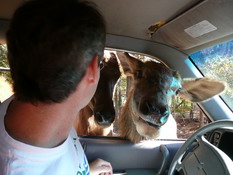 Mark got face to face with our hosts