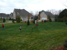 Of course, the football had to come out to play