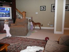 Trying to un-baby-proof the basement