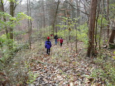 A beautiful hike