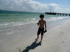 Hunting for shells