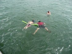 Patch and Mark looking for sand dollars