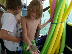 Alex holding his first live sand dollar