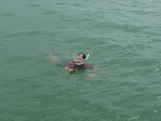 Mark hunting sand dollars