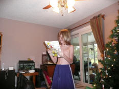 Entering the world of Calvin & Hobbes