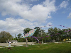the new big dragon kite