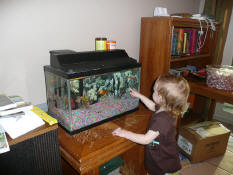 Kiera loved the fish